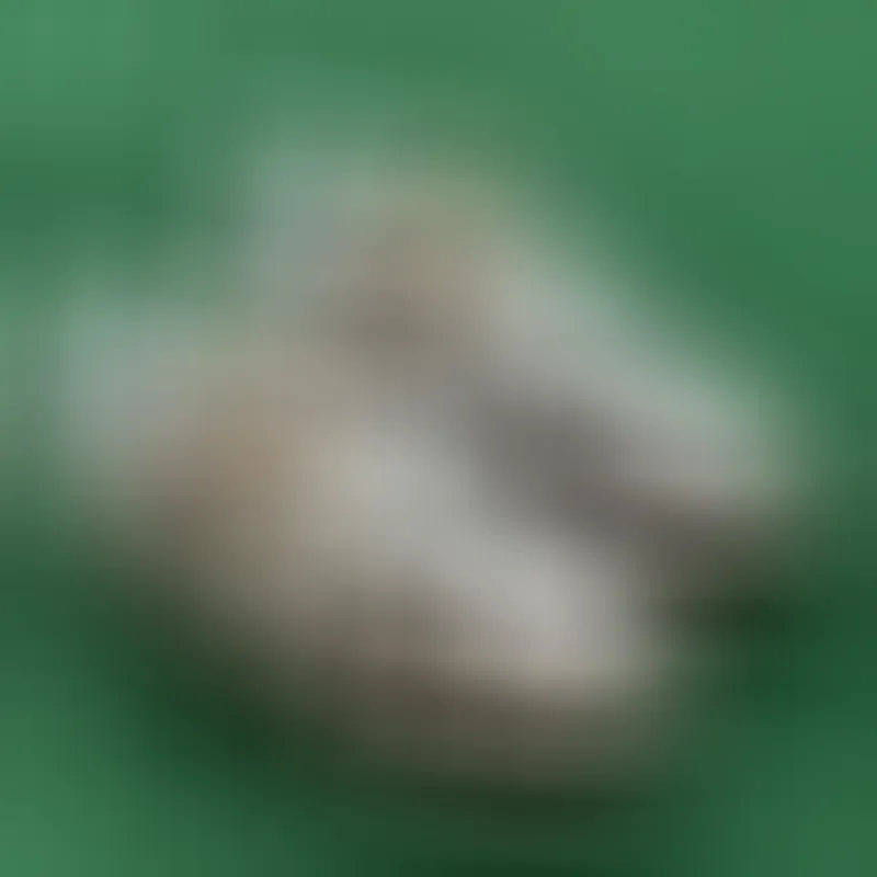 Nike Air Force 1 Sneakers