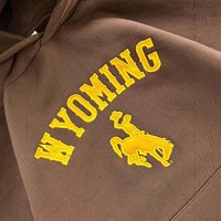 Wyoming Oversized Hoodie — seller photo 3
