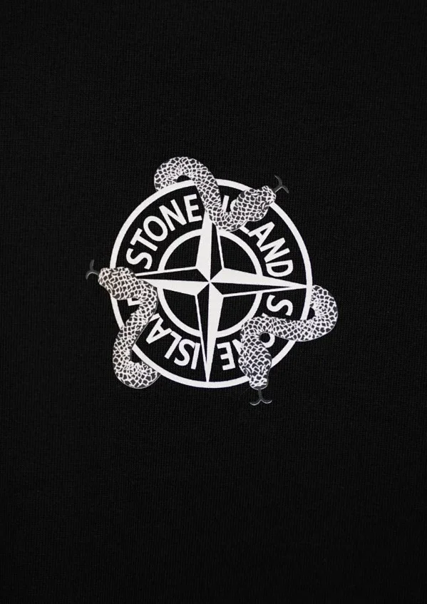 Stone Island T-Shirts Compass Graphic Short-Sleeve T-Shirt product detail image 5