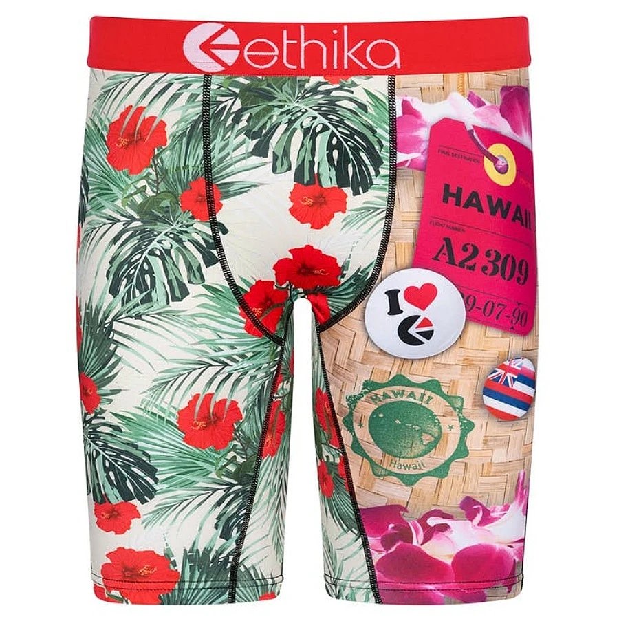 Ethika Underwear Printed Boxer Briefs — 2309