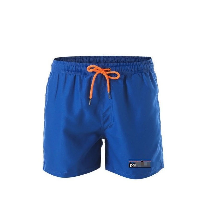 Patagonia Shorts Baggies with Elastic Waist — 802 blue