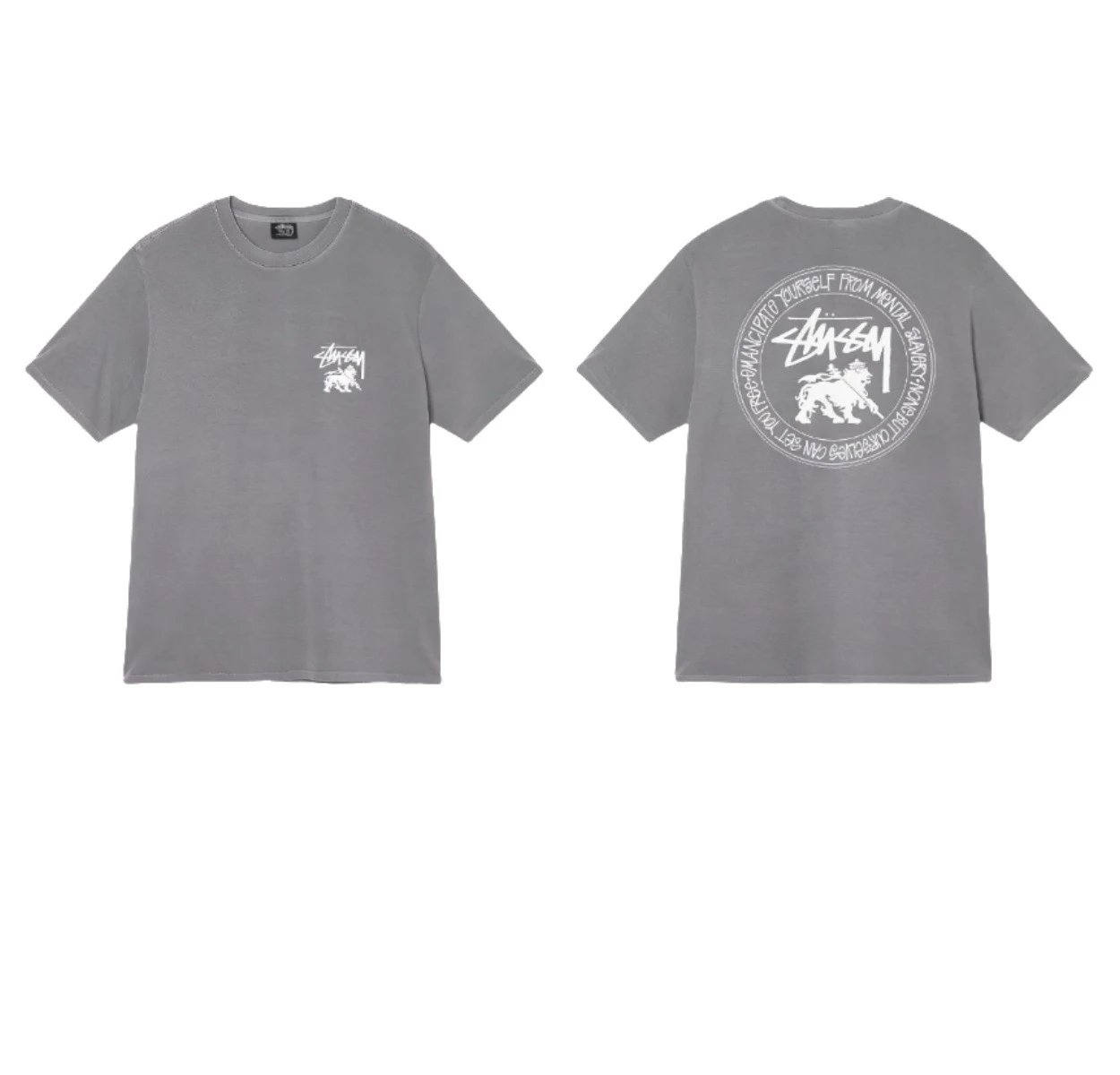 Stüssy T-Shirts Short-Sleeve Graphic Print — 2027 gray