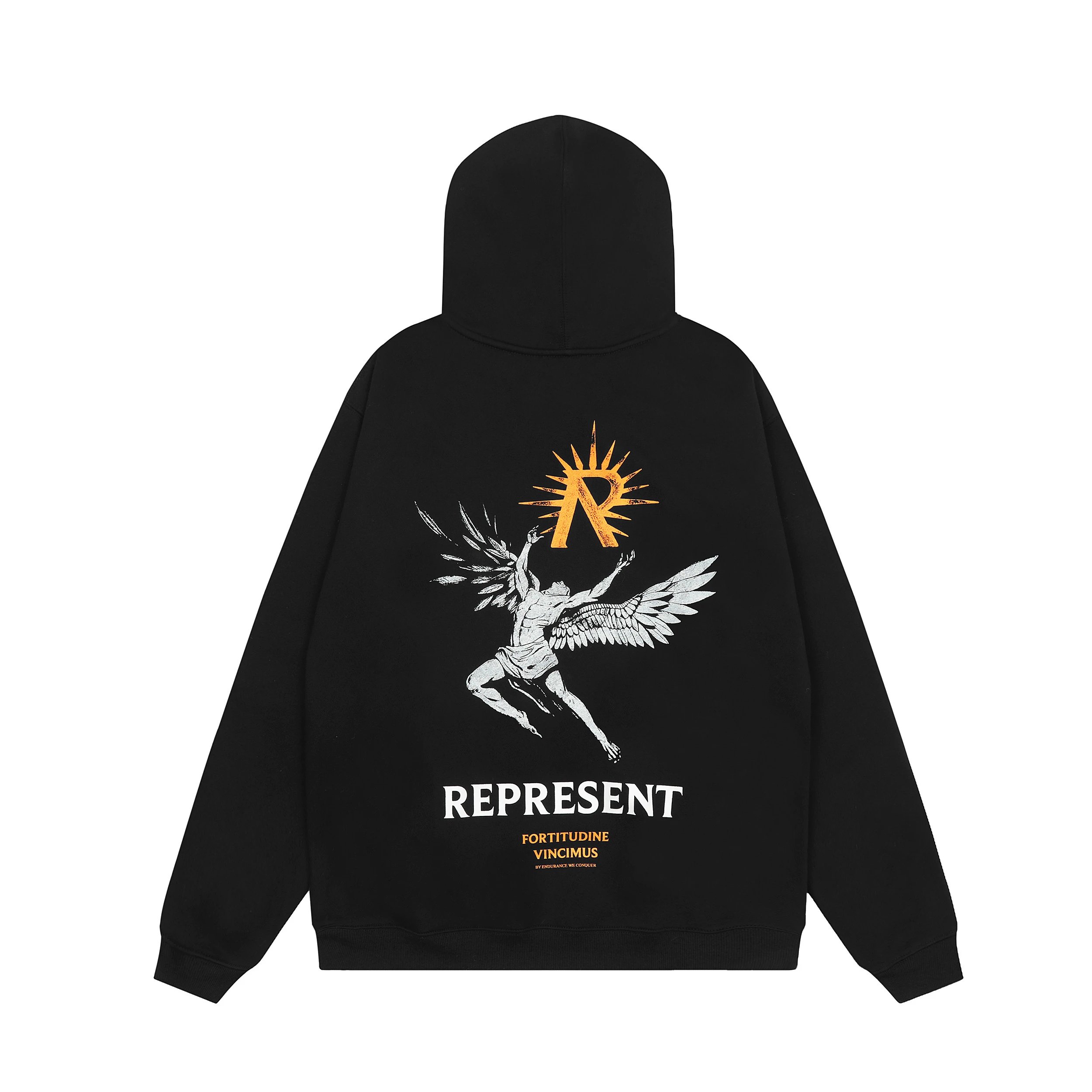 Product view 11