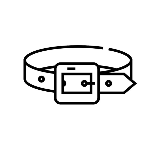 Special Belt-The CX538031