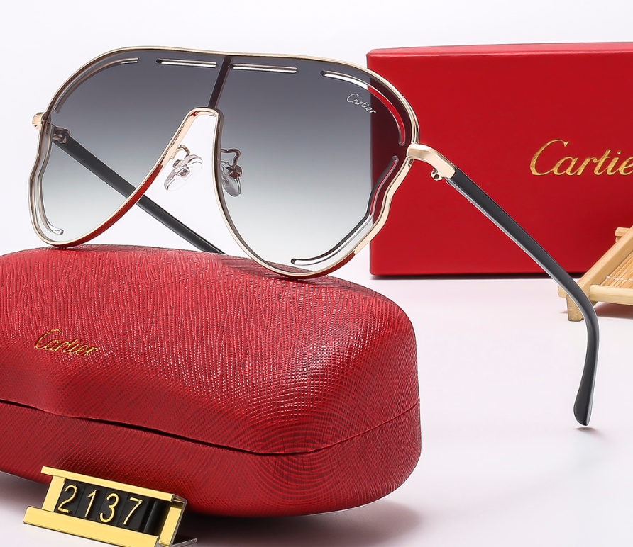 Cartier Multiple sunglass styles — 19