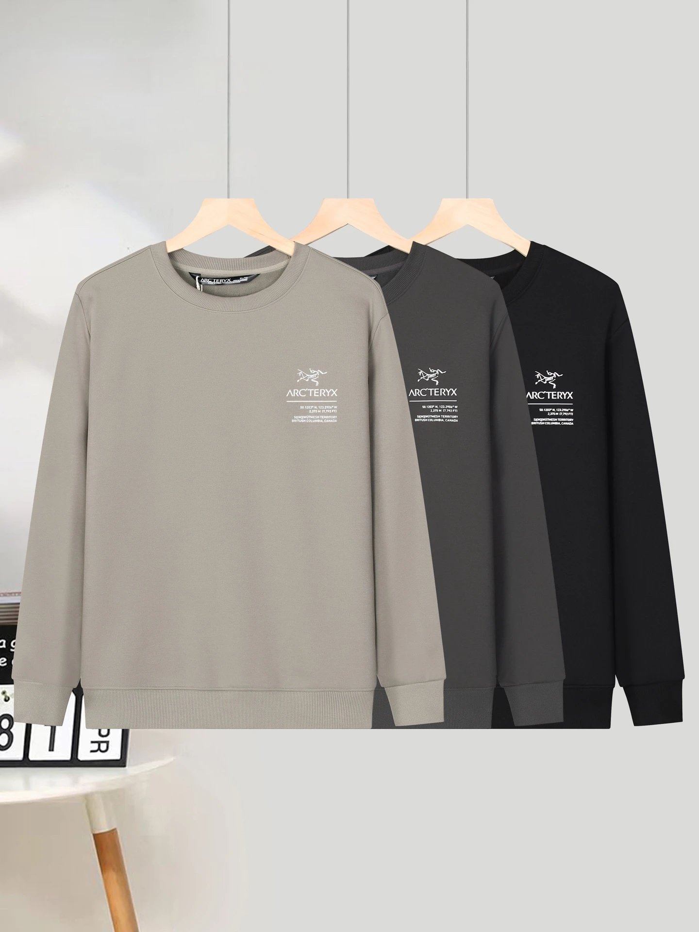 Arc'teryx Hoodies & Sweatshirts Stand-Collar Quarter-Zip Sweatshirt image 3