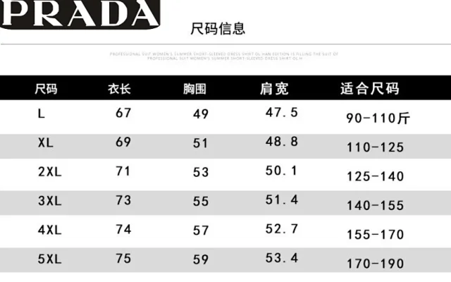 Prada Down Jackets Hooded and Stand-Collar Puffer product detail image 2