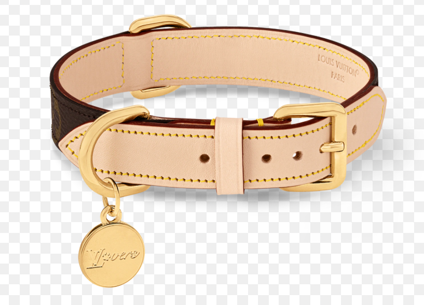 Louis Vuitton Monogram Leather