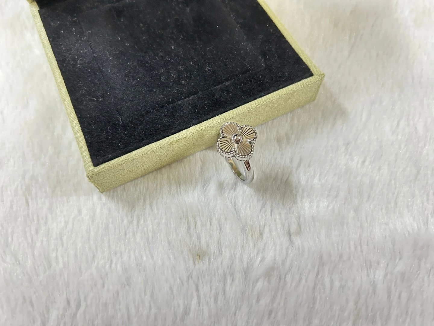 Product view 4