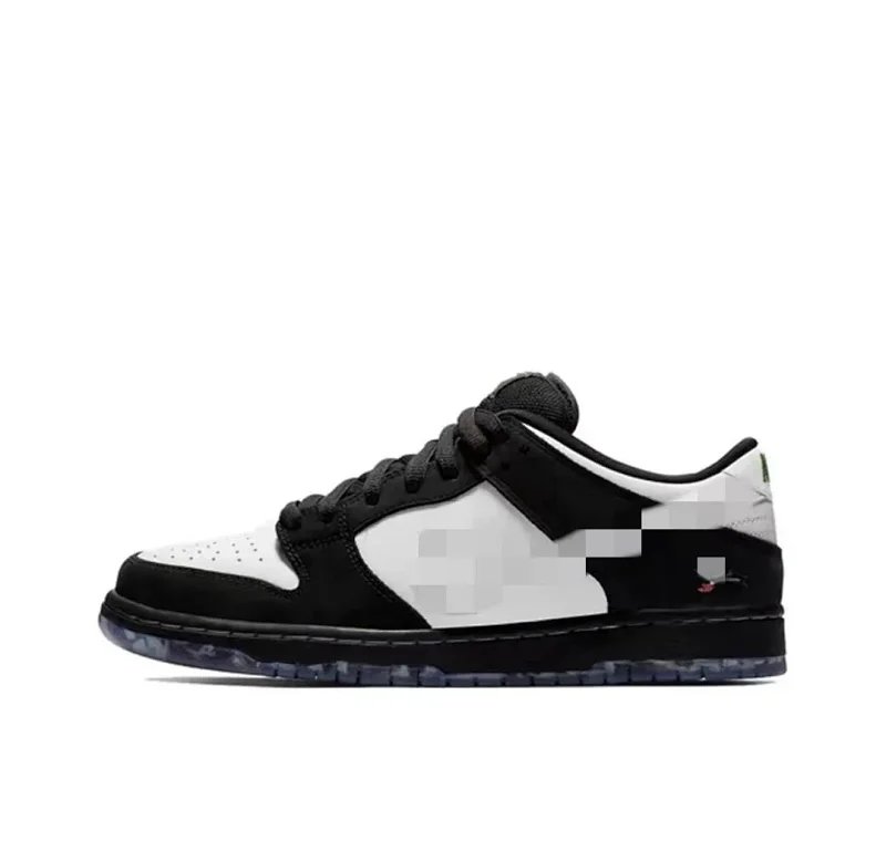Black and white pigeon BV1310-013