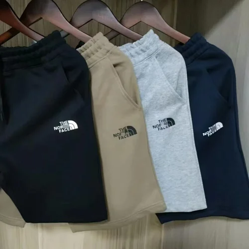 The North Face Shorts 8 Estilos