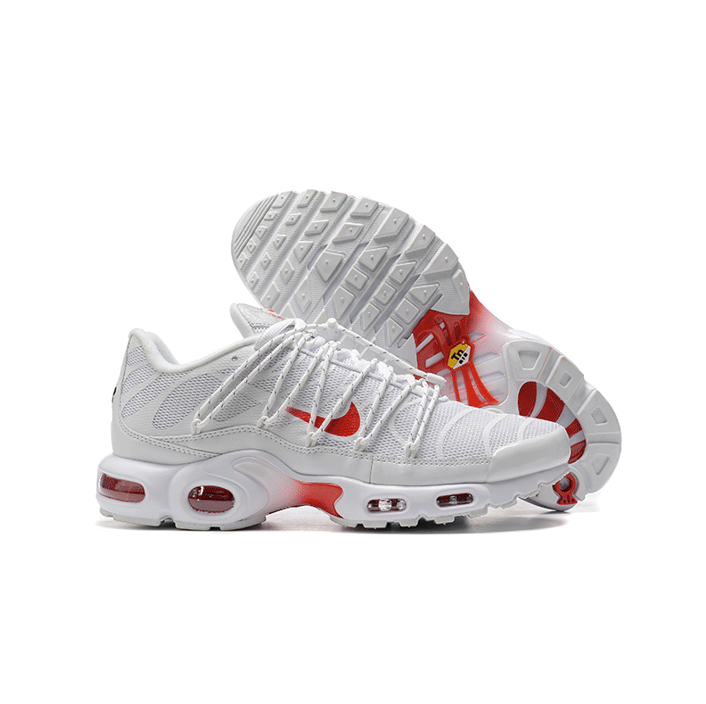 Nike Air Max Plus TN shoes