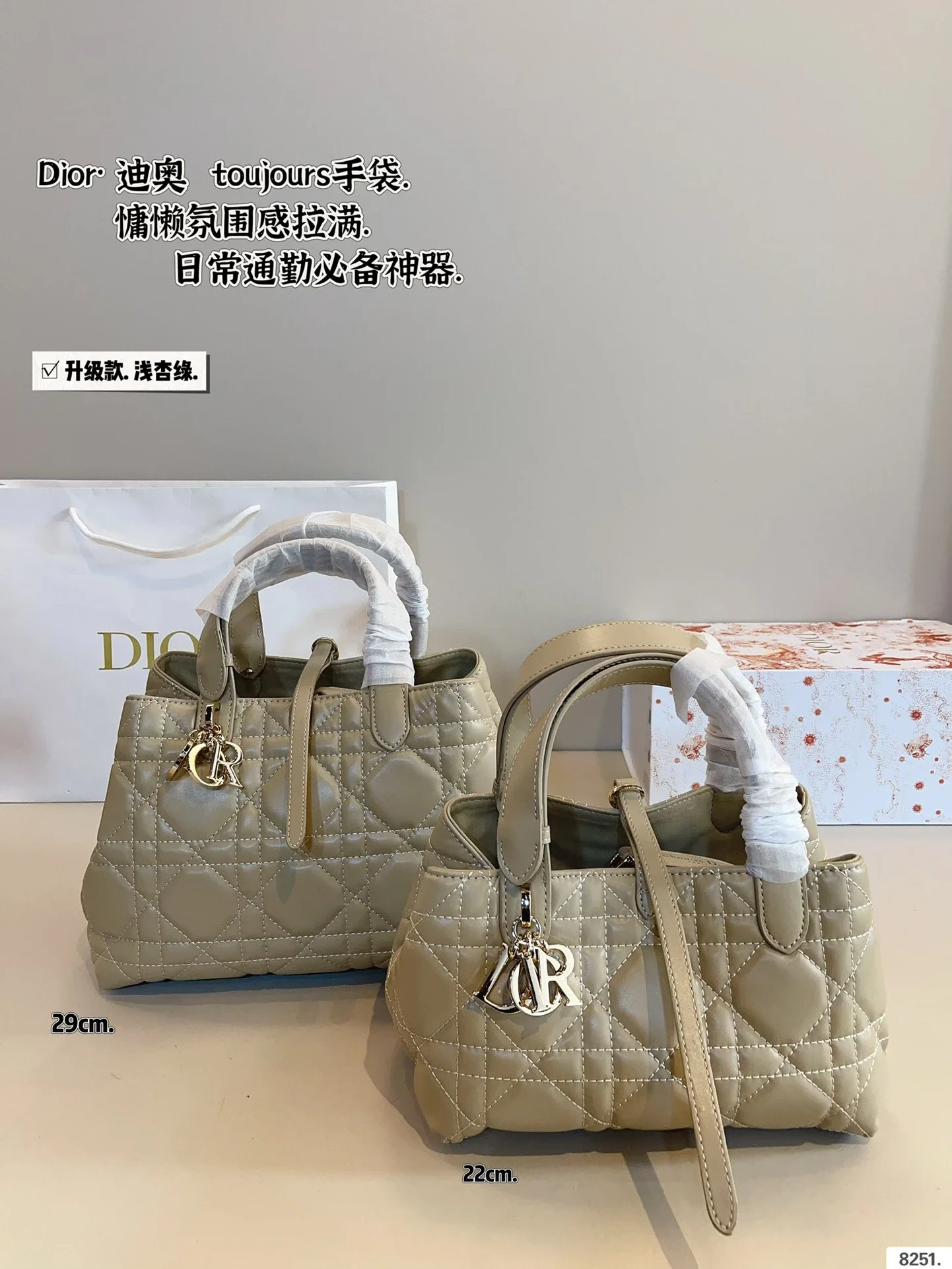 Dior's Classic Bags