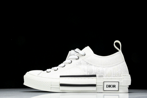 Dior B22 Sneakers [40 styles]