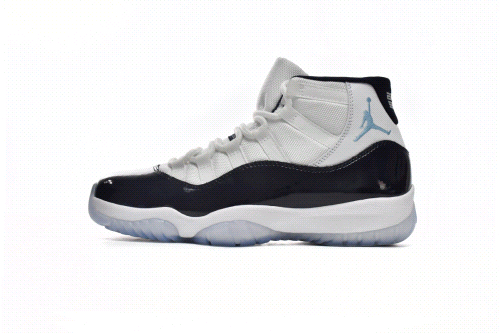 Air Jordan 11 (22 Colorways)