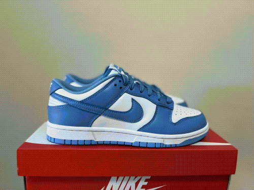 Nike SB Dunk (29 Colorways)