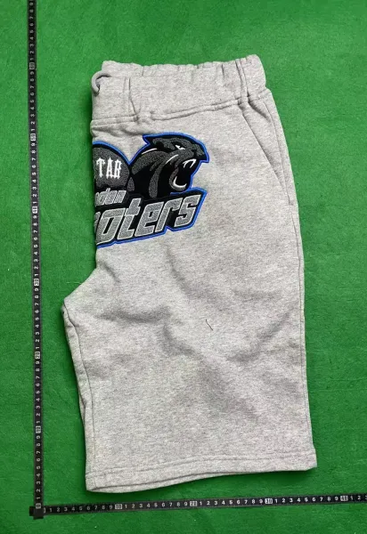Trapstar London Panthers Gray Sweatpants - 1