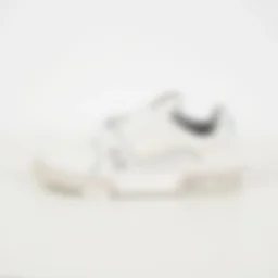 thumbnail for Item ID: 11100