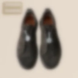 thumbnail for Item ID：AP0081
