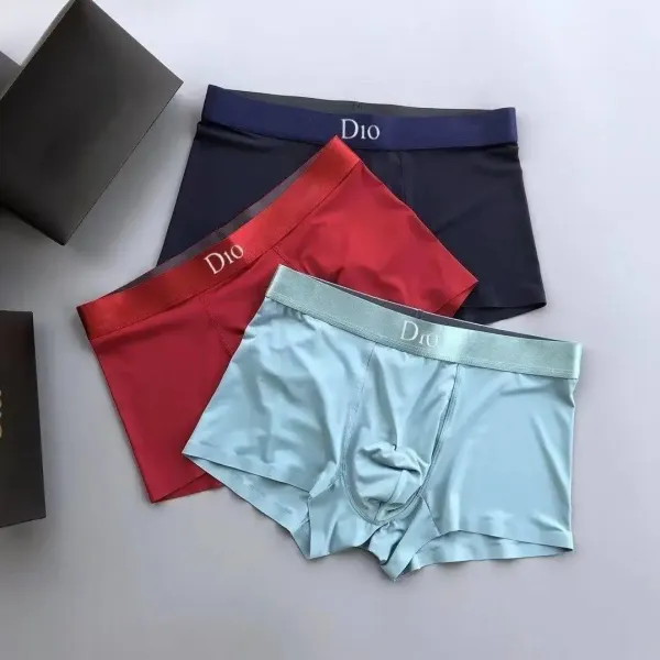 D10 Boxer Briefs in Navy, Red, and Mint Green Underwear - 1