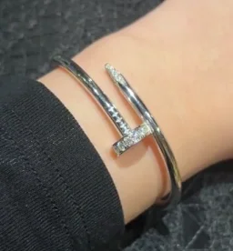 thumbnail for 17cm银色头尾钻钉子手镯