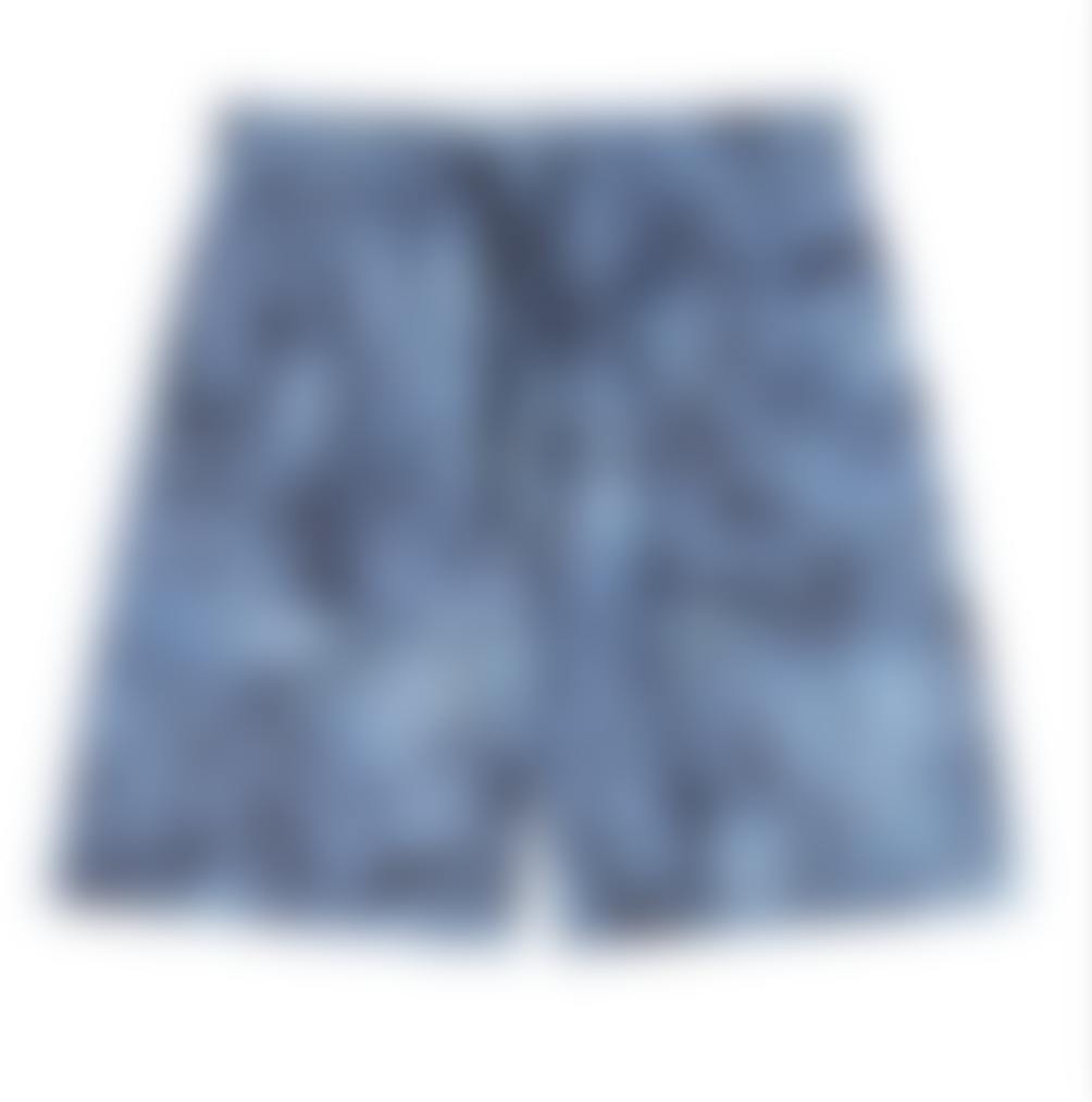 Dior Swim Shorts