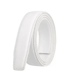 thumbnail for 双环银色腰带 1185195-145K