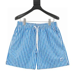 thumbnail for Blue vertical stripe printed beach pants