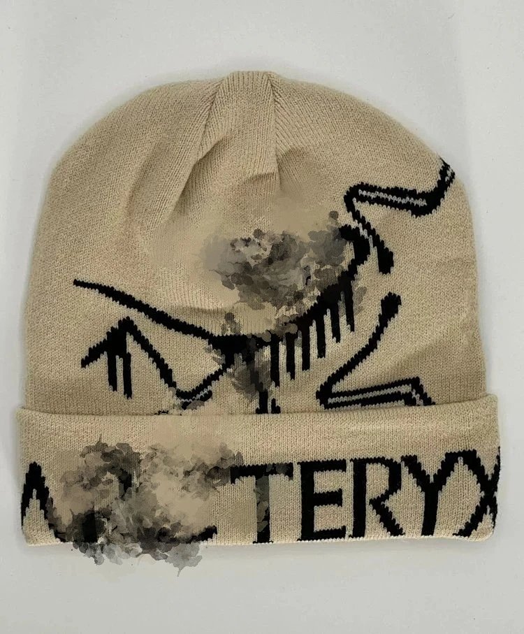 Arc'teryx Bird Logo Beanie Navy Hats product detail 5 in Litbuy spreadsheet finds