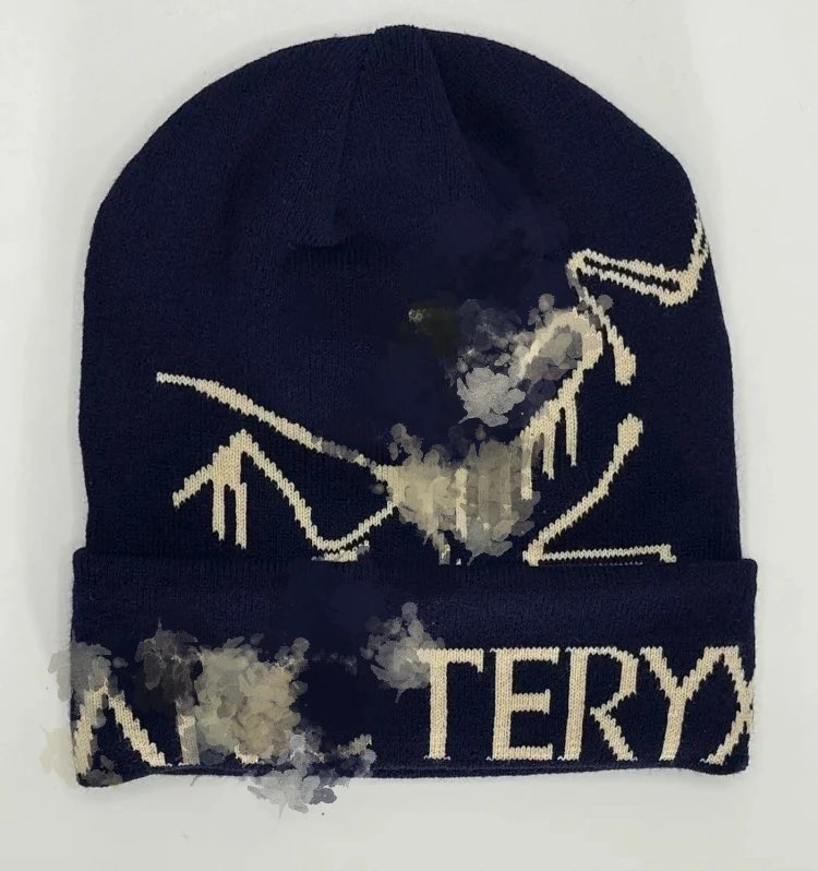 Arc'teryx Arc'teryx Logo Beanie T-Shirt