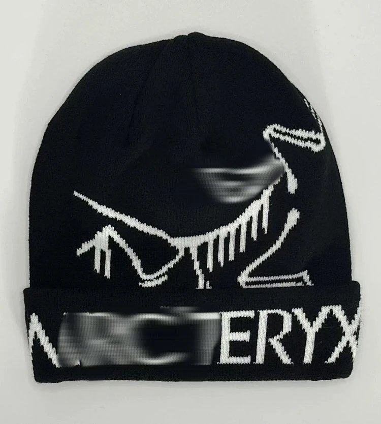 Arc'teryx Bird Logo Beanie Navy Hats product detail 2 in Litbuy spreadsheet finds