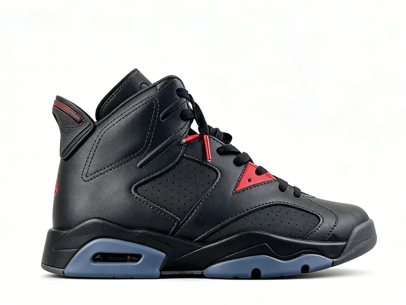 Air Jordan 6 Premio BIN 23