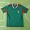2010 season Mexico home Fan version