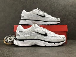 thumbnail for 【Stock X】N1KE P-6000 CD6404-107