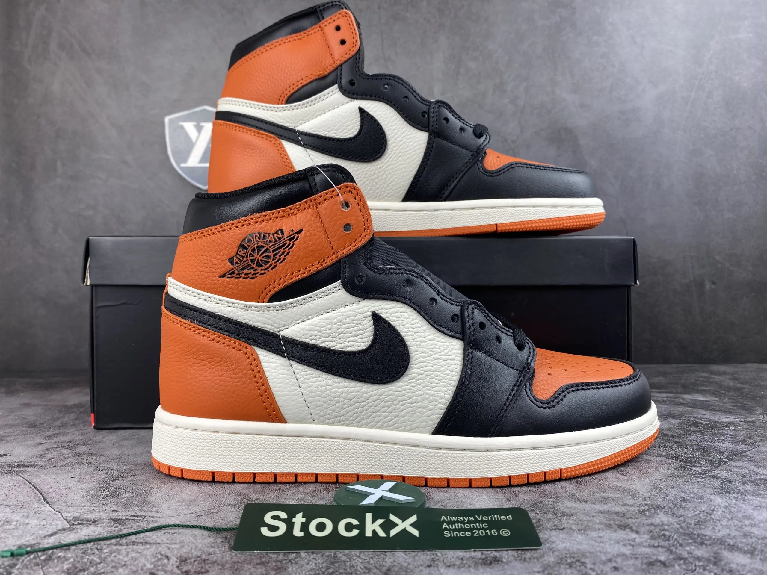 Backboard 555088 005