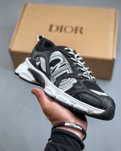 DIOR Chrono Shoes