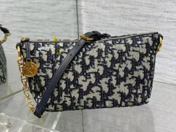 Dior bag (1 Color )