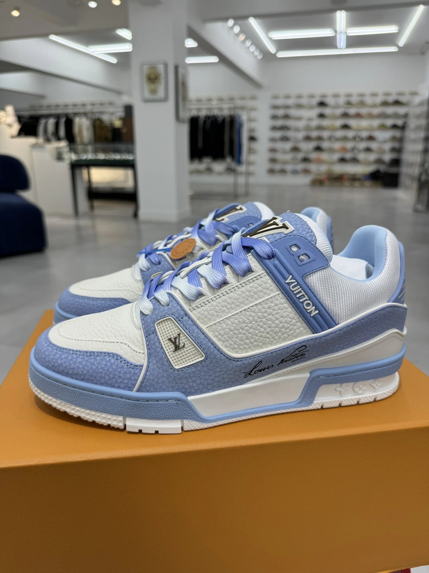 LV LOUIS VUITTON Trainer 1AD6BI Shoes -4