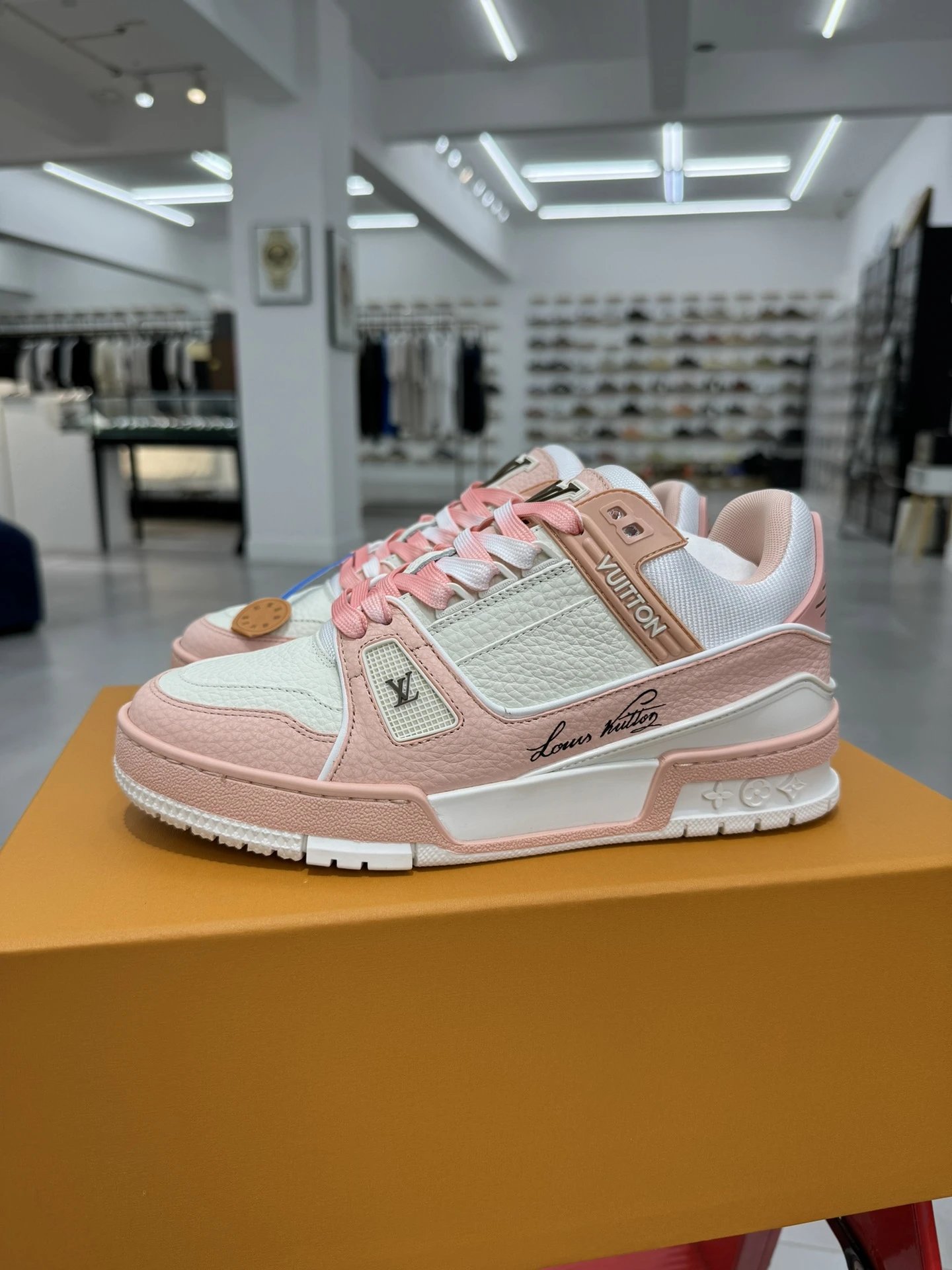 LV LOUIS VUITTON Trainer 1AD6BI Shoes -4