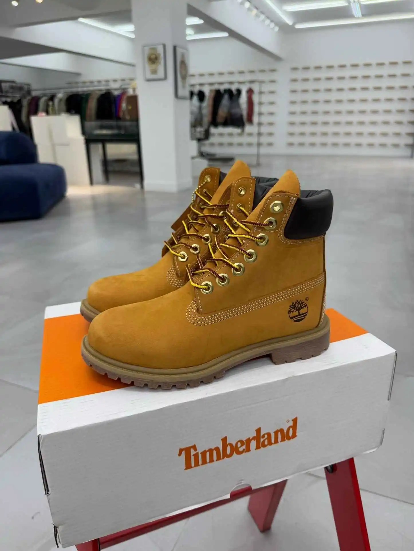 Timmy shoes