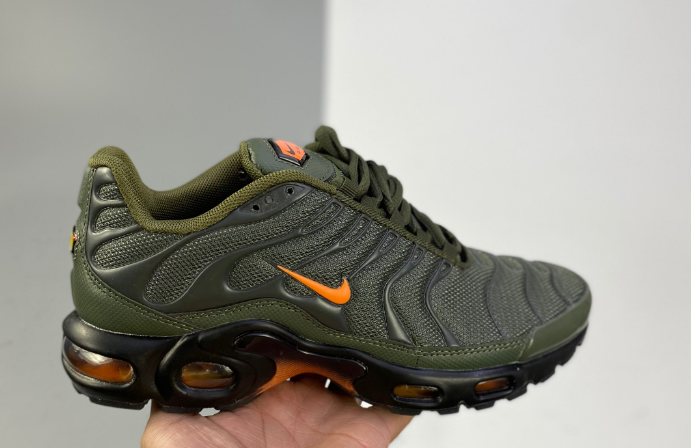 Nike am plus Shoes-1