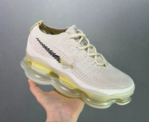 Nike am scro Shoes