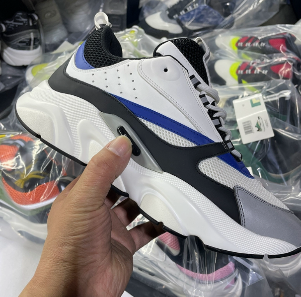 DIOR B22 shoes