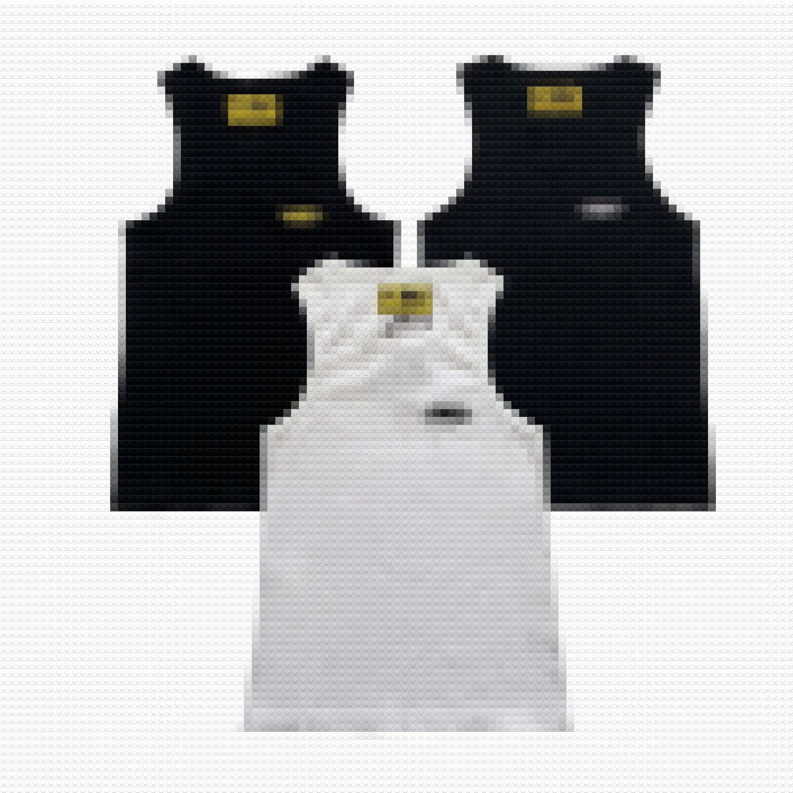 Be0011256&47