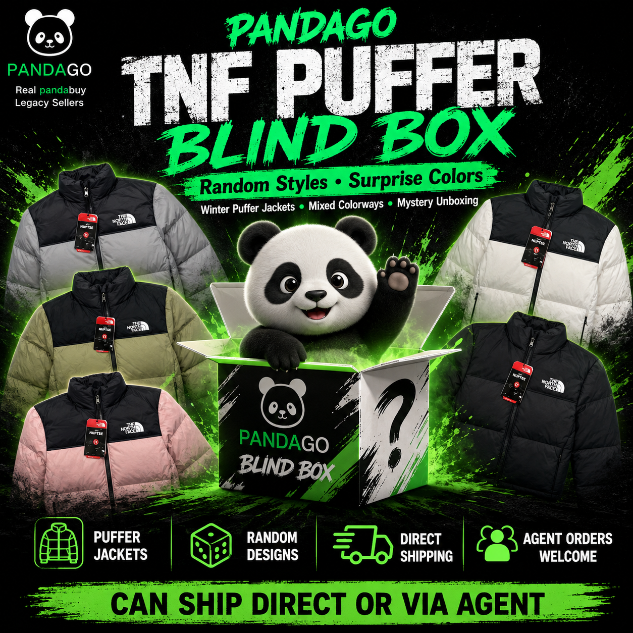 The north face Down Jacket Nuptse