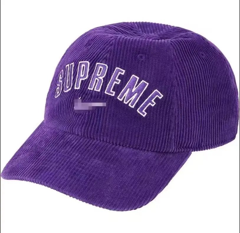 Supreme Hats Bandana Box Logo Knit Beanie — 28