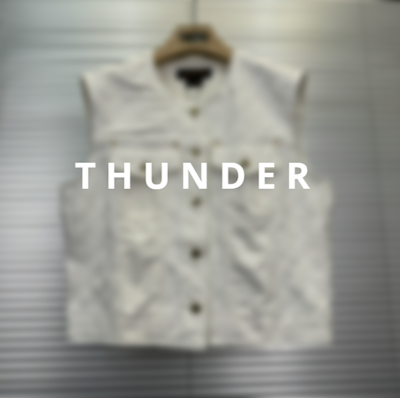 Louis Vuitton Sleeveless Jacket