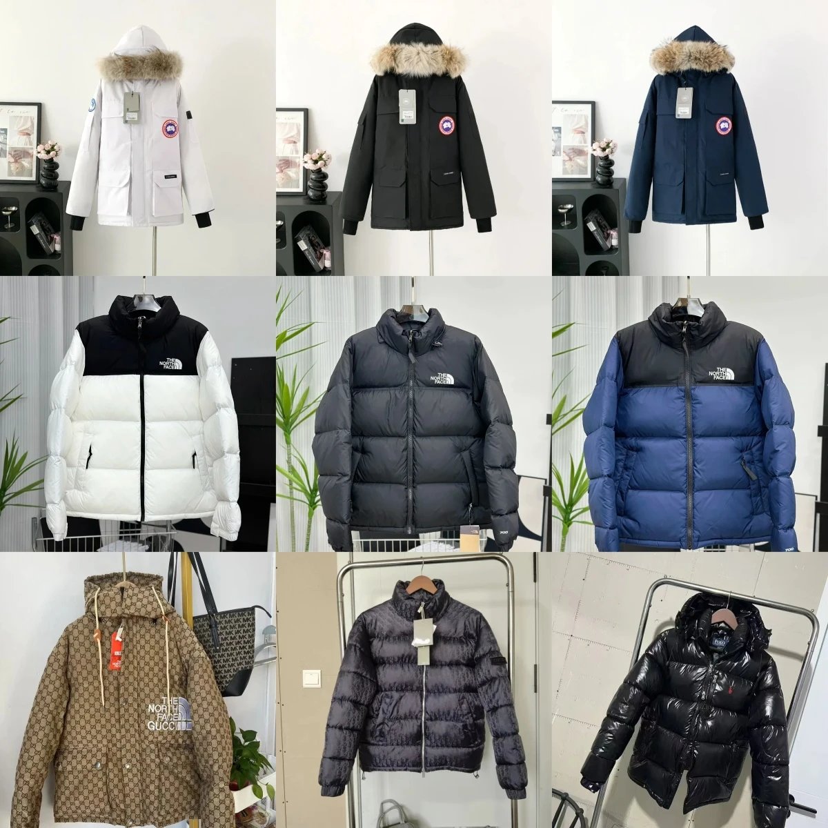Canada Goose / The North Face 