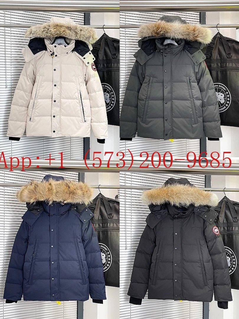 Canada Goose Model 29