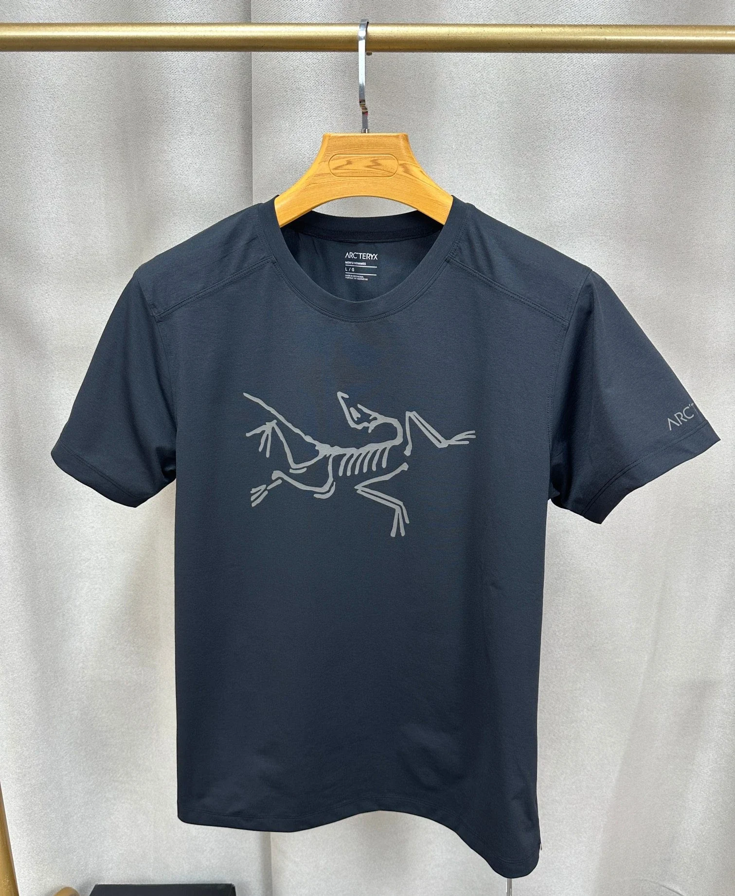 Archaeopteryx short 